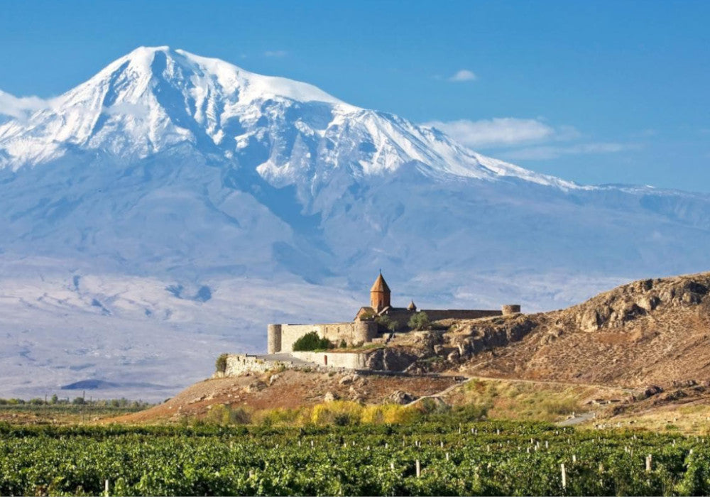 Nazani Tea visits Armenia