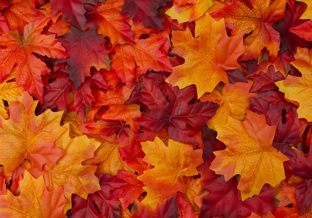The SeasonaliTEA of Autumnal Colours