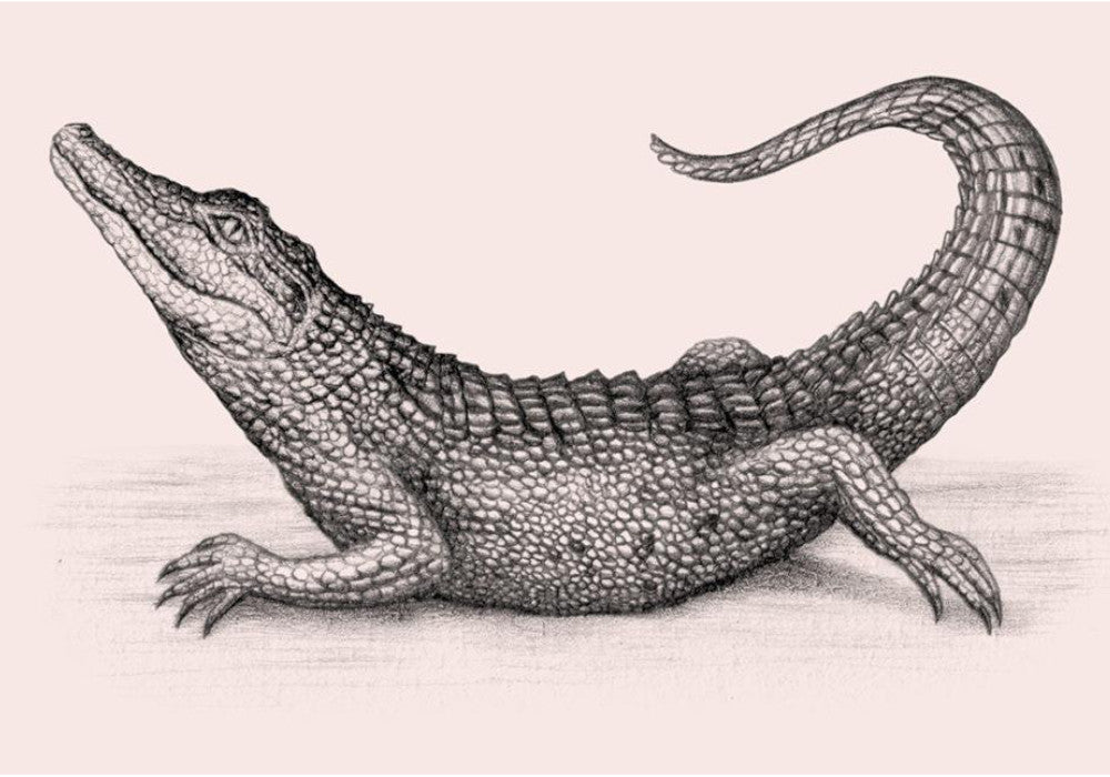 Louie Restaurant Launches in London