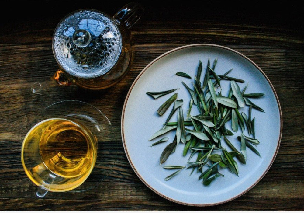 Nazani Tea; olive leaf; herbal tea