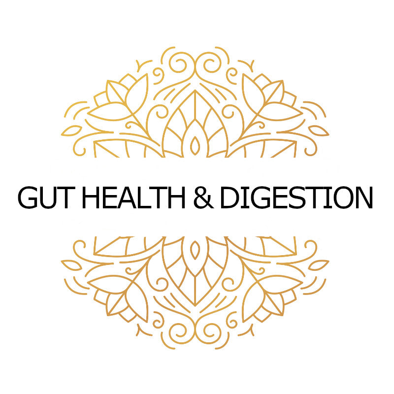 Gut Health & Digestion