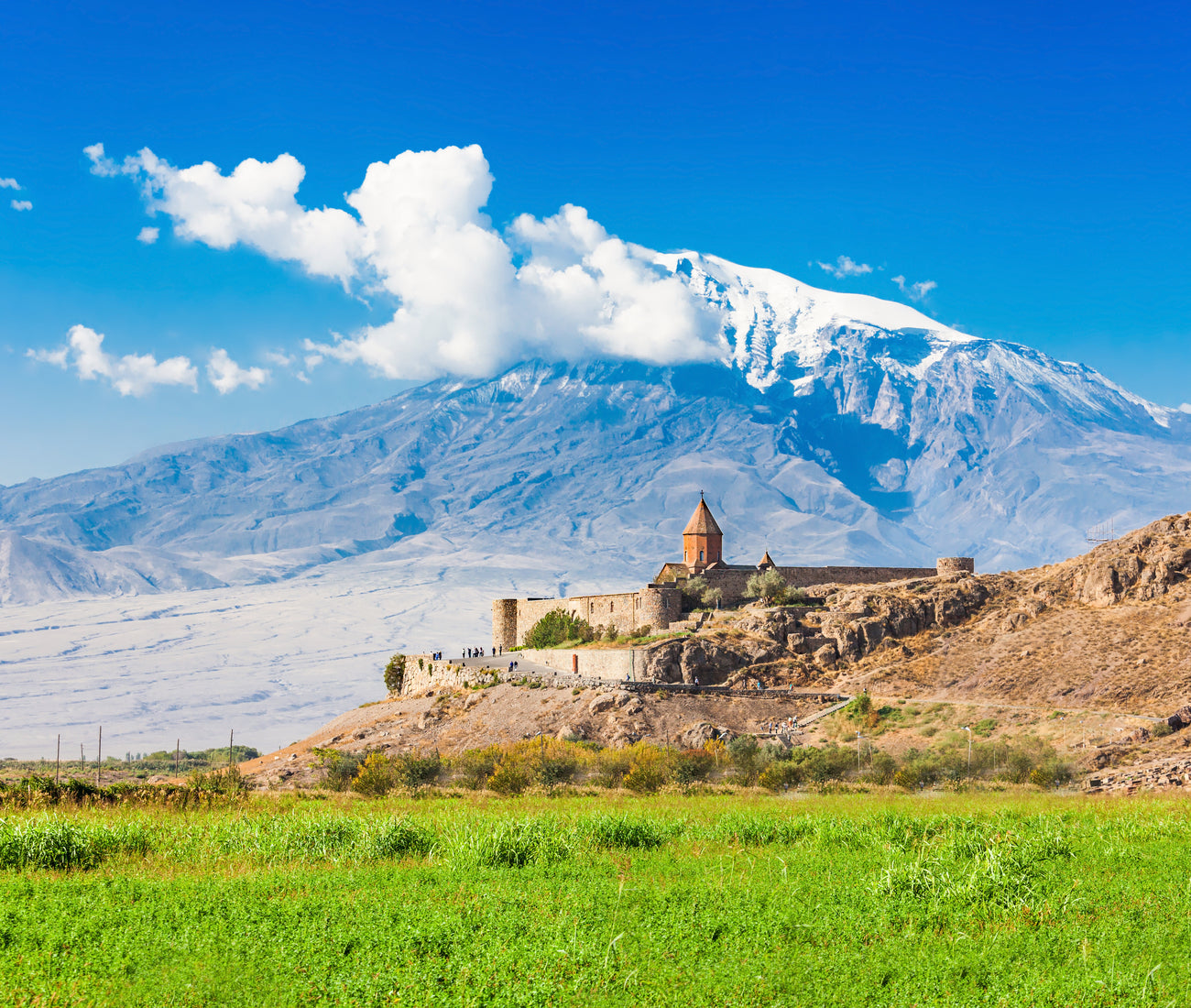 Nazani tea; Herbal Tea; Infusions; Rose tea;  Healthy Tea; Tea for Trade; HoReCa; Organic; Organic Tea; Luxury Brand; Luxury Tea; Sustainable brand; Loose leaf tea; Wellbeing; Lifestyle;  Armenia; Tea from Armenia; 