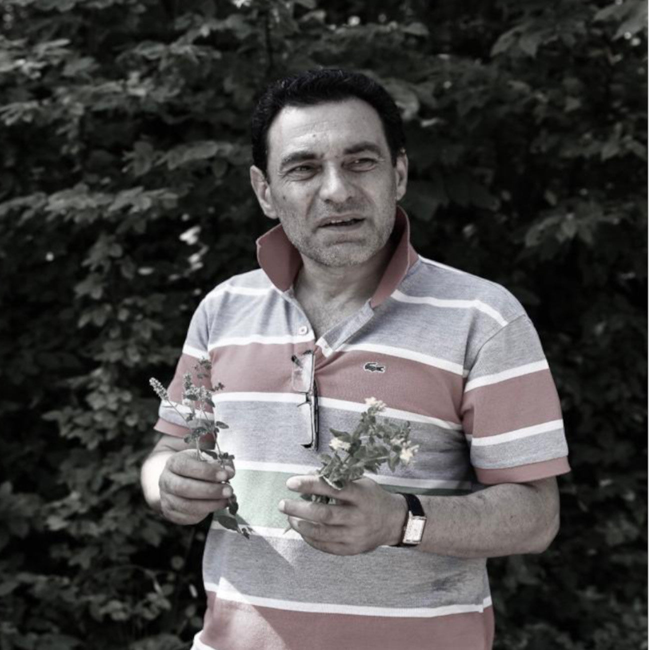 Nazani tea; Herbal Tea; Infusions; Rose tea;  Healthy Tea; Tea for Trade; HoReCa; Organic; Organic Tea; Luxury Brand; Luxury Tea; Sustainable brand; Loose leaf tea; Wellbeing; Lifestyle;  Nazani Tea London 