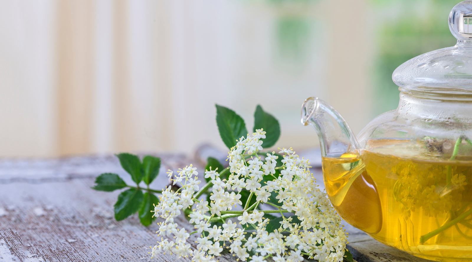 Nazani tea; Herbal Tea; Infusions; Rose tea;  Healthy Tea; Tea for Trade; HoReCa; Organic; Organic Tea; Luxury Brand; Luxury Tea; Sustainable brand; Loose leaf tea; Wellbeing; Lifestyle; Nazani Tea London 