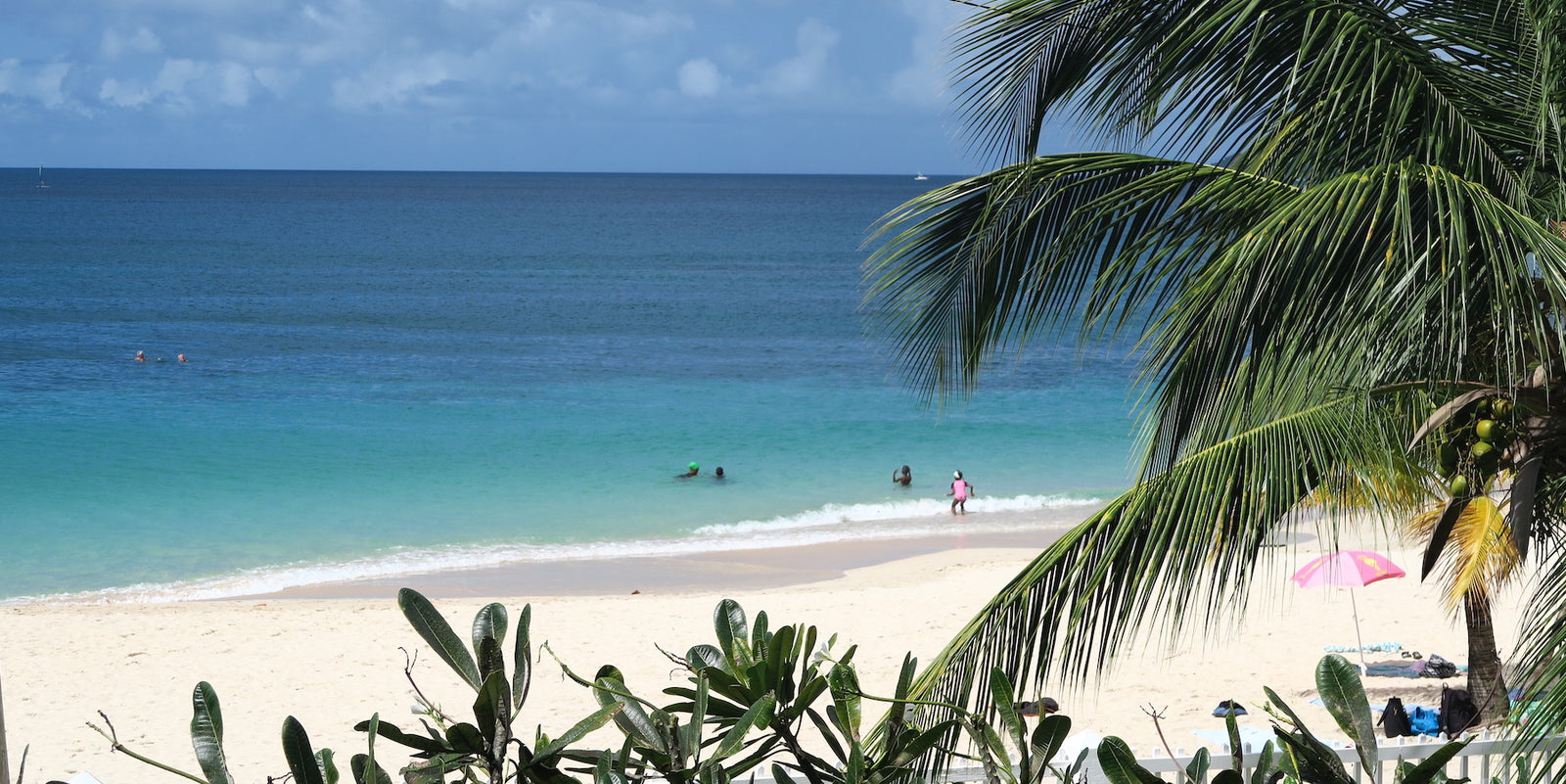 Nazani tea; Herbal Tea; Infusions; Rose tea;  Healthy Tea; Tea for Trade; HoReCa; Organic; Organic Tea; Luxury Brand; Luxury Tea; Sustainable brand; Loose leaf tea; Wellbeing; Lifestyle;  Nazani Tea London; Tea from Grenada; Grenada