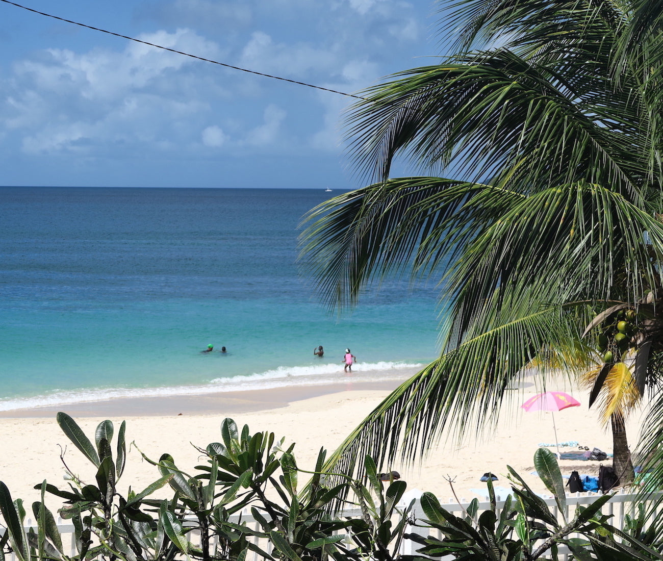 Nazani tea; Herbal Tea; Infusions; Rose tea;  Healthy Tea; Tea for Trade; HoReCa; Organic; Organic Tea; Luxury Brand; Luxury Tea; Sustainable brand; Loose leaf tea; Wellbeing; Lifestyle;  Grenada; Tea from Grenada;