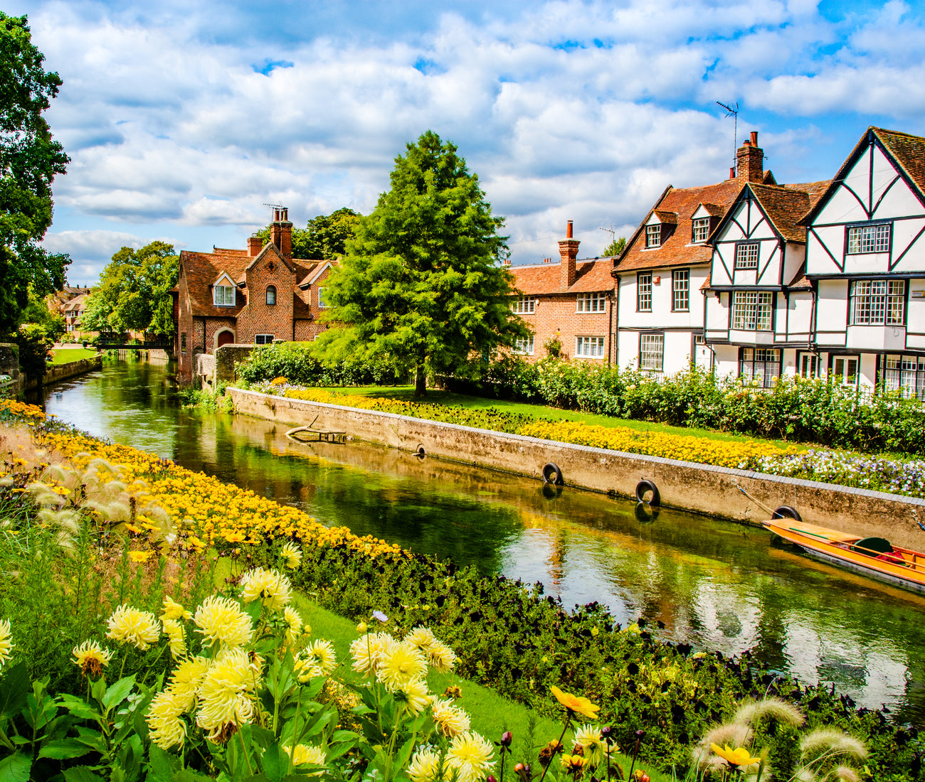 Nazani tea; Herbal Tea; Infusions; Rose tea;  Healthy Tea; Tea for Trade; HoReCa; Organic; Organic Tea; Luxury Brand; Luxury Tea; Sustainable brand; Loose leaf tea; Wellbeing; Lifestyle;  England; Tea from England;