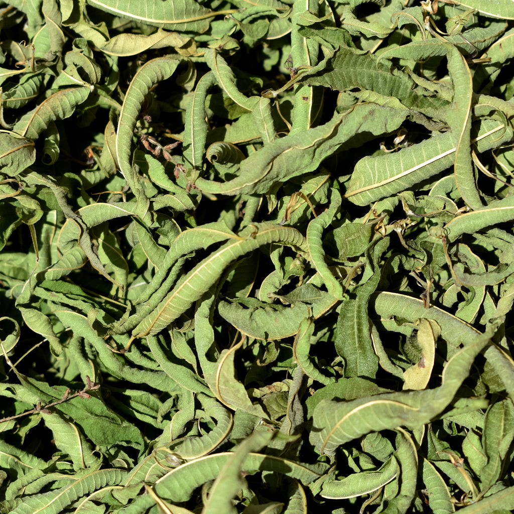 Nazani tea; Herbal Tea; Infusions; Rose tea;  Healthy Tea; Tea for Trade; HoReCa; Organic; Organic Tea; Luxury Brand; Luxury Tea; Sustainable brand; Loose leaf tea; Wellbeing; Lifestyle;  