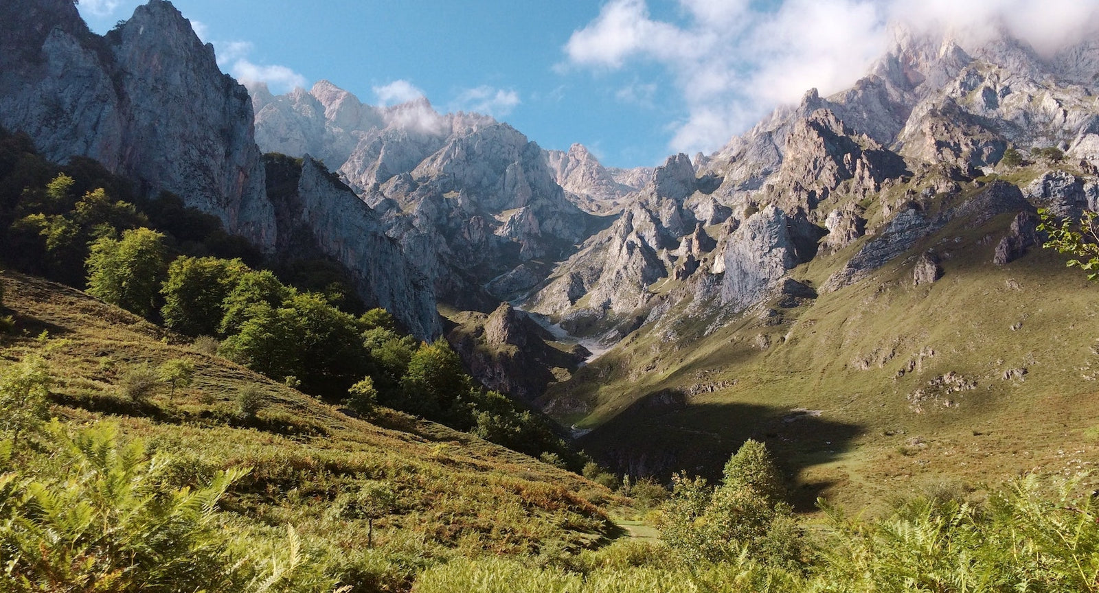 Nazani tea; Herbal Tea; Infusions; Rose tea;  Healthy Tea; Tea for Trade; HoReCa; Organic; Organic Tea; Luxury Brand; Luxury Tea; Sustainable brand; Loose leaf tea; Wellbeing; Lifestyle;  Nazani Tea London; Armenia; Tea from Armenia;