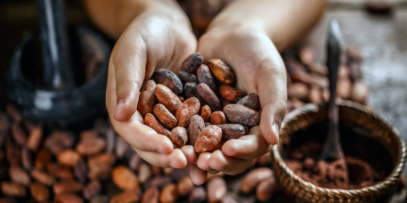 Nazani Tea, Herbal Infusions, Tea for kids, Healthy tea, award-winning tea, organic tea, herbal tea