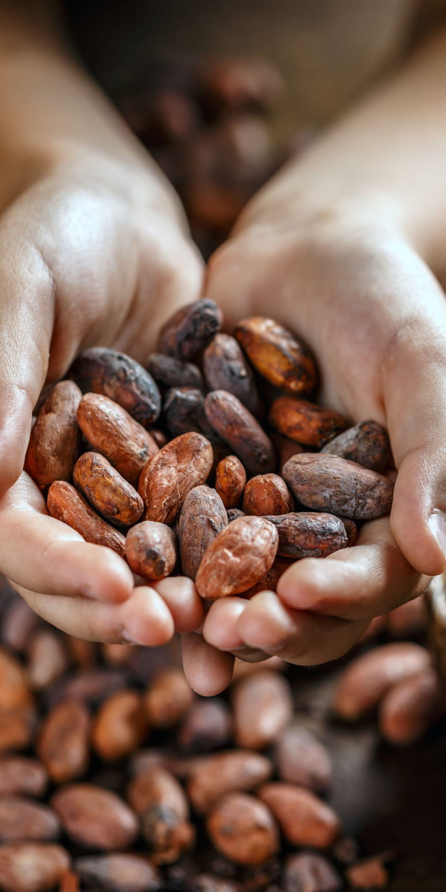 Nazani Tea, Herbal Infusions, Tea for kids, Healthy tea, award-winning tea, organic tea, herbal tea