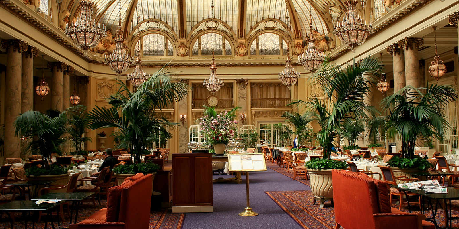 Nazani Tea; Tea for hospitality; Wellness teas; organic teas; tea brand london; Teas for hotels; teas for restaurants; loose leaf tea; 