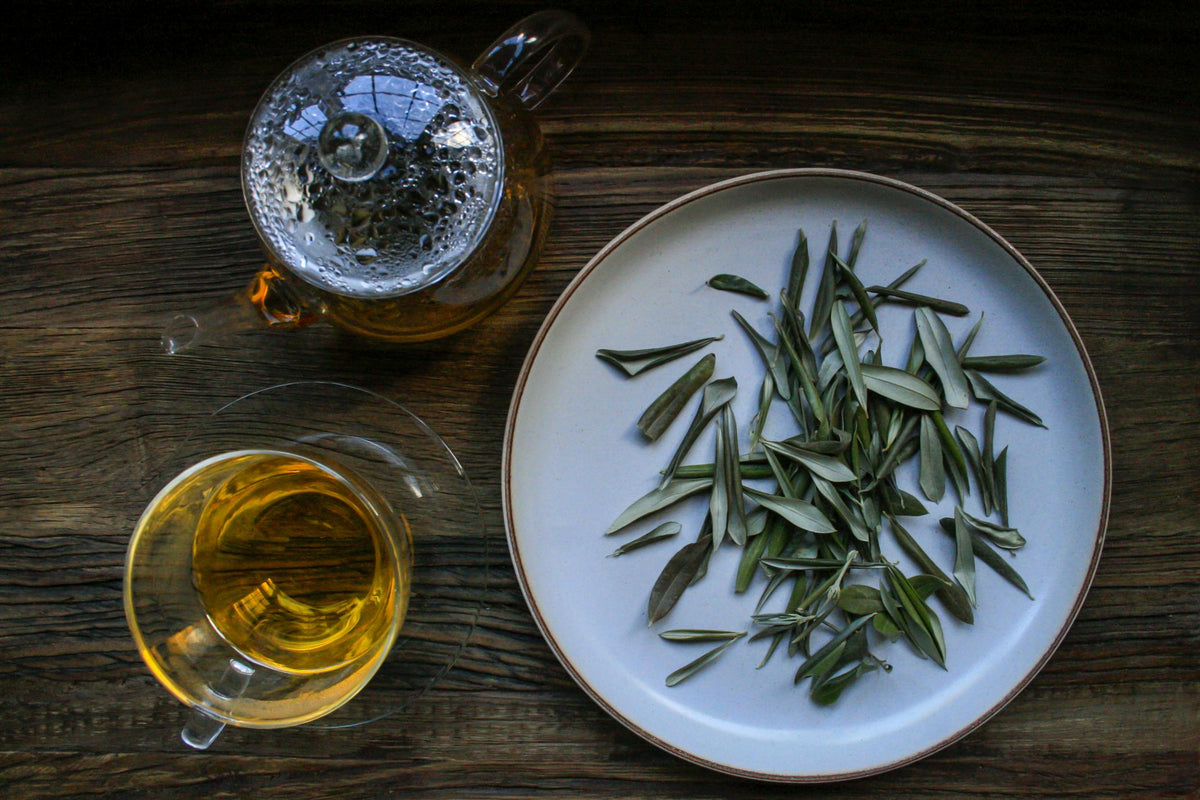 Nazani Tea Olive Leaf